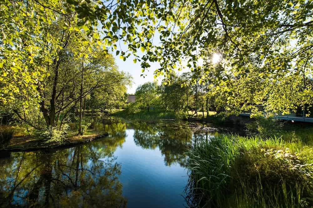 Chevin Country Park Hotel & Spa Chevin Country Park Hotel & Spa