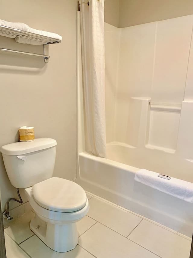 Suite, 1 King Bed
