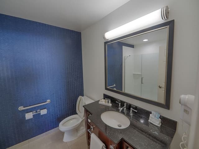 Premier Room, 1 King Bed