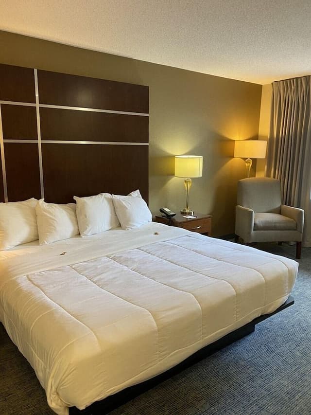 Premier Room, 1 King Bed