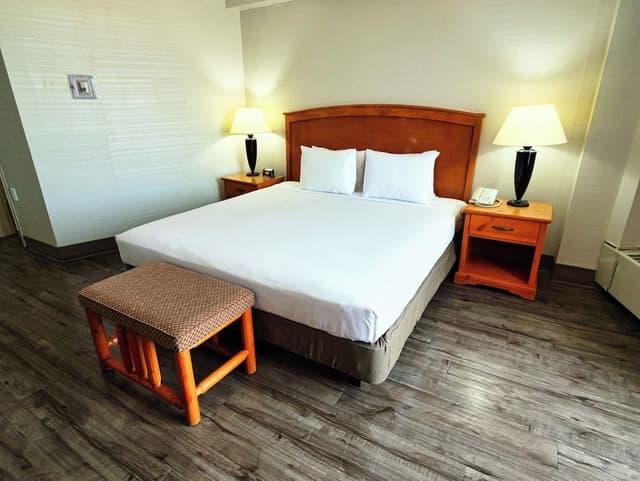 Standard Room, 1 King Bed