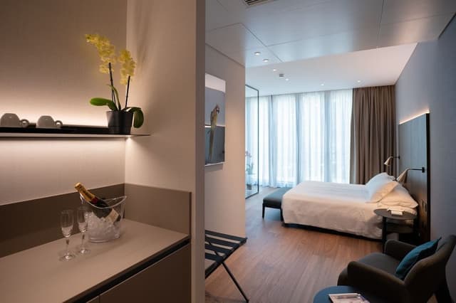Junior Suite (Luxury)