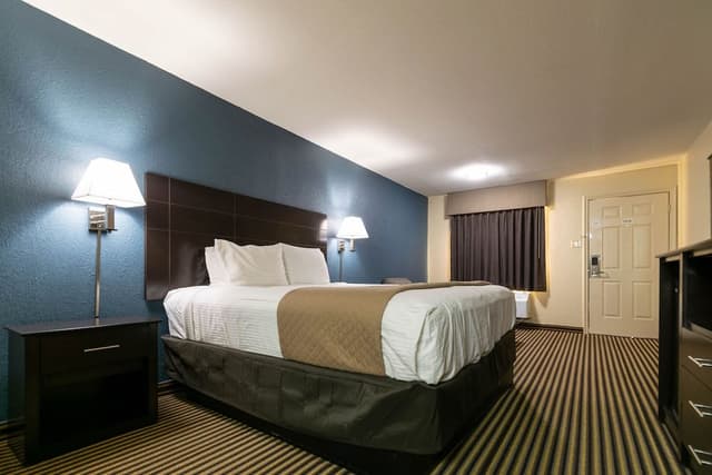 Single Room, 1 King Bed, Non Smoking