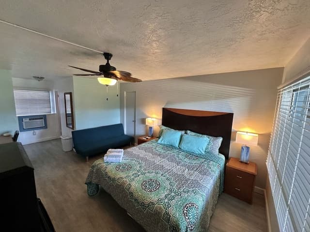 Single Room, 1 King Bed