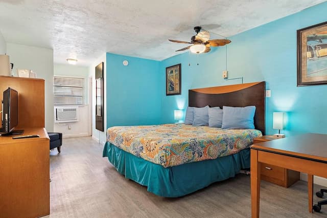 Single Room, 1 King Bed
