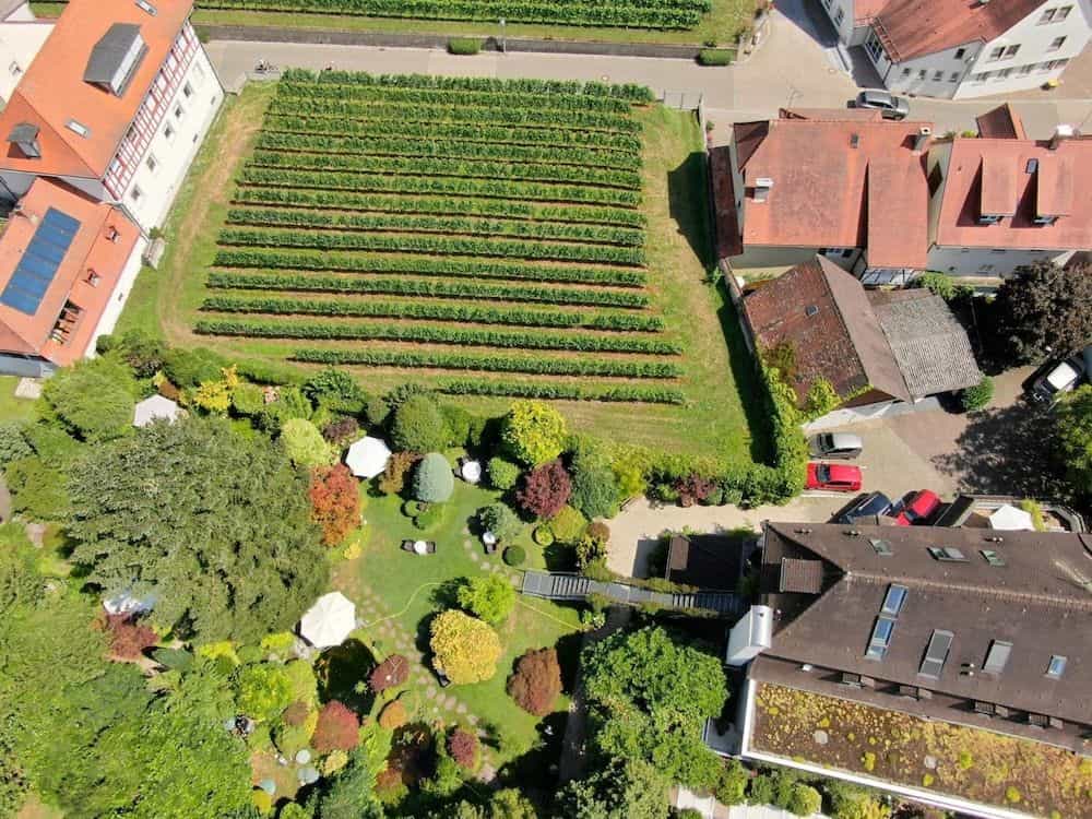 Hotel Der Lowen Hotel Der Lowen