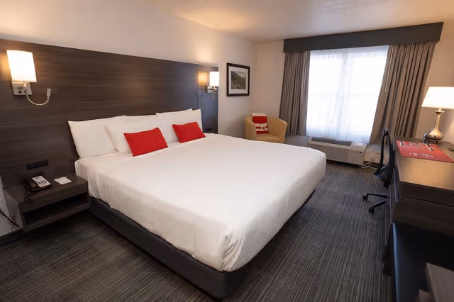 Standard Single Room, 1 King Bed