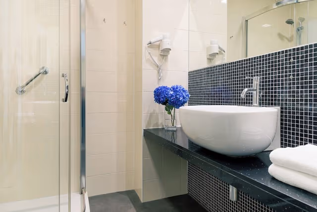 Superior Double or Twin Room