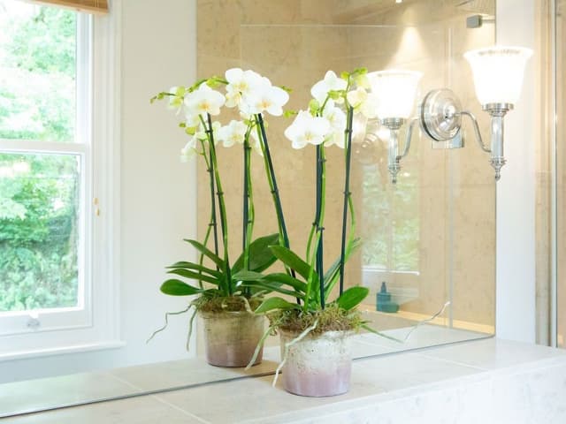 Superior Double Room, Ensuite