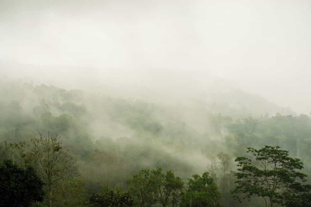 Batur Mountain View Batur Mountain View