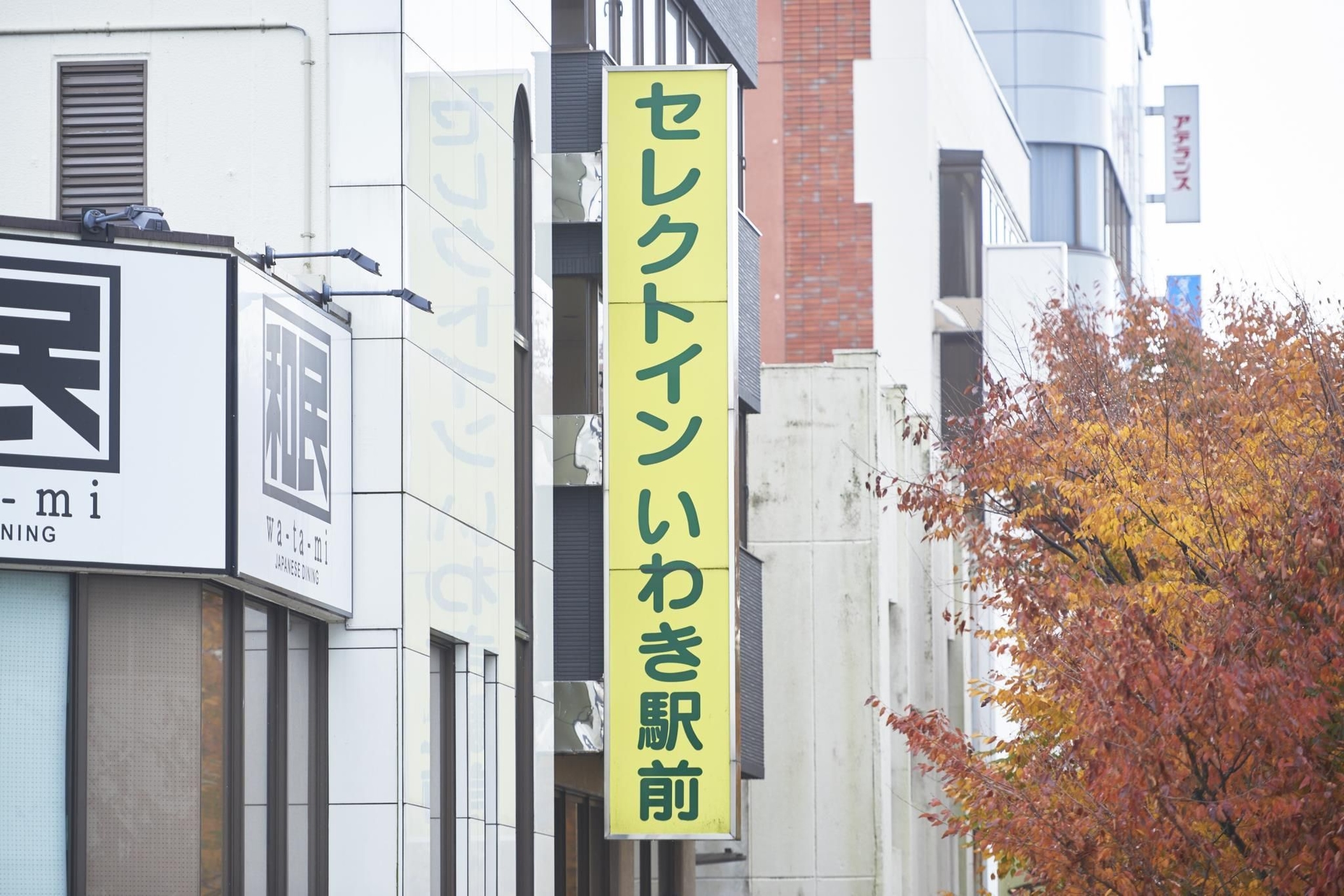 โรงแรมซีเล็ค อินน์ อิวะกิ เอกิมะเอะ (Hotel Select Inn Iwaki Ekimae)3