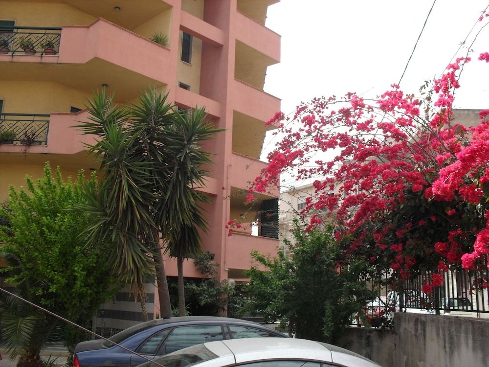 Agave1