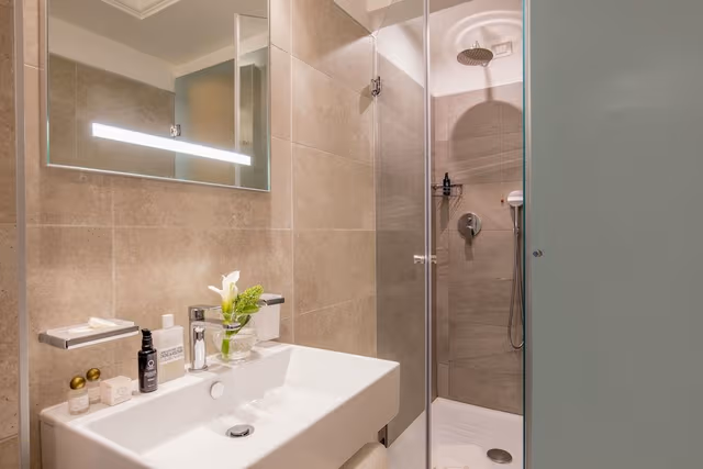Double Room Single Use (French Bed)