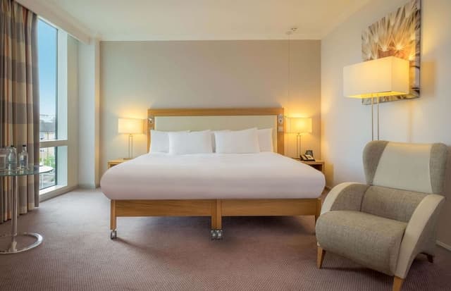Room, 1 King Bed
