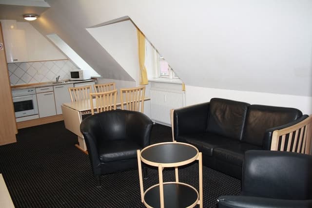 Apartment, 1 Bedroom, Kitchen