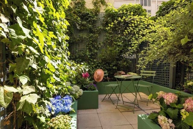 Double Room with Terrace