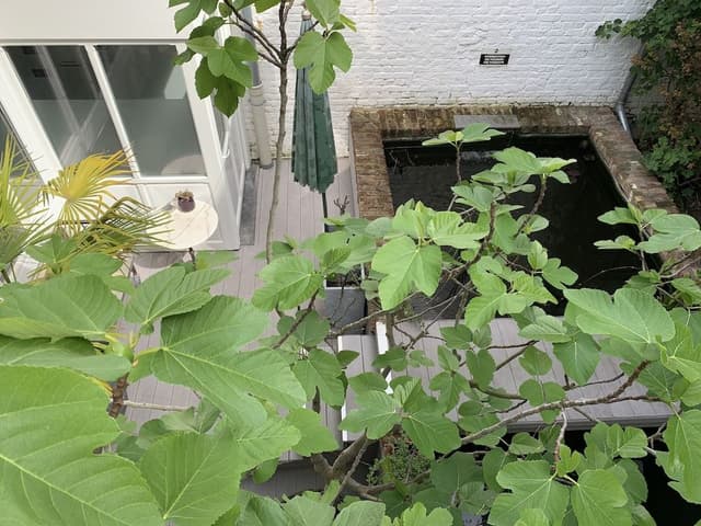 Luxury Double Room, Hot Tub (n°1)