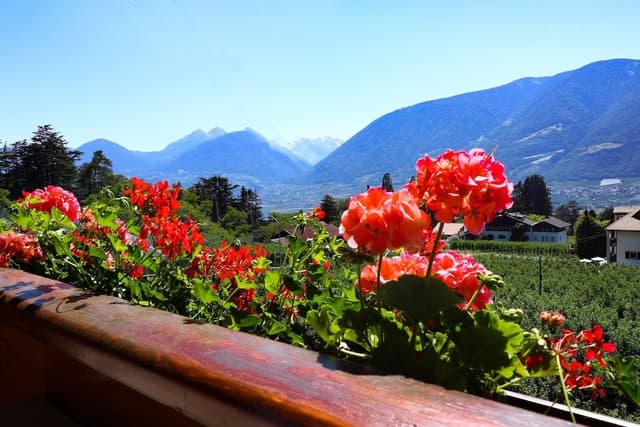 Double Room, Balcony