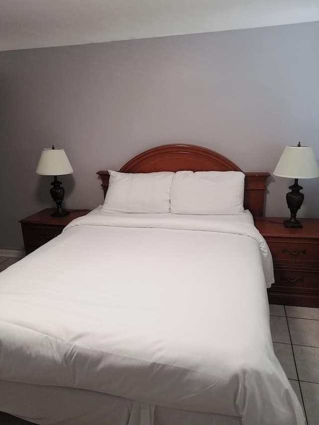 Single Room, 1 Queen Bed