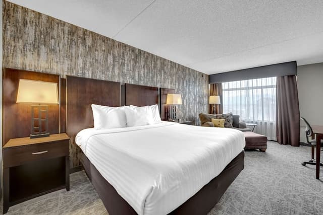 Room, 1 King Bed, Mountain View (No Pets)