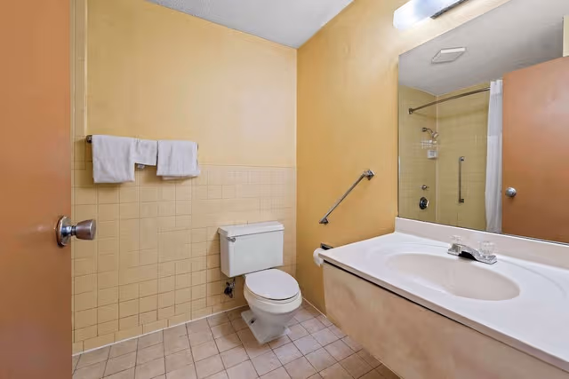 Room, 1 King Bed, Accessible, Non Smoking