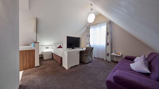 Deluxe Double Room (Air Conditioning)