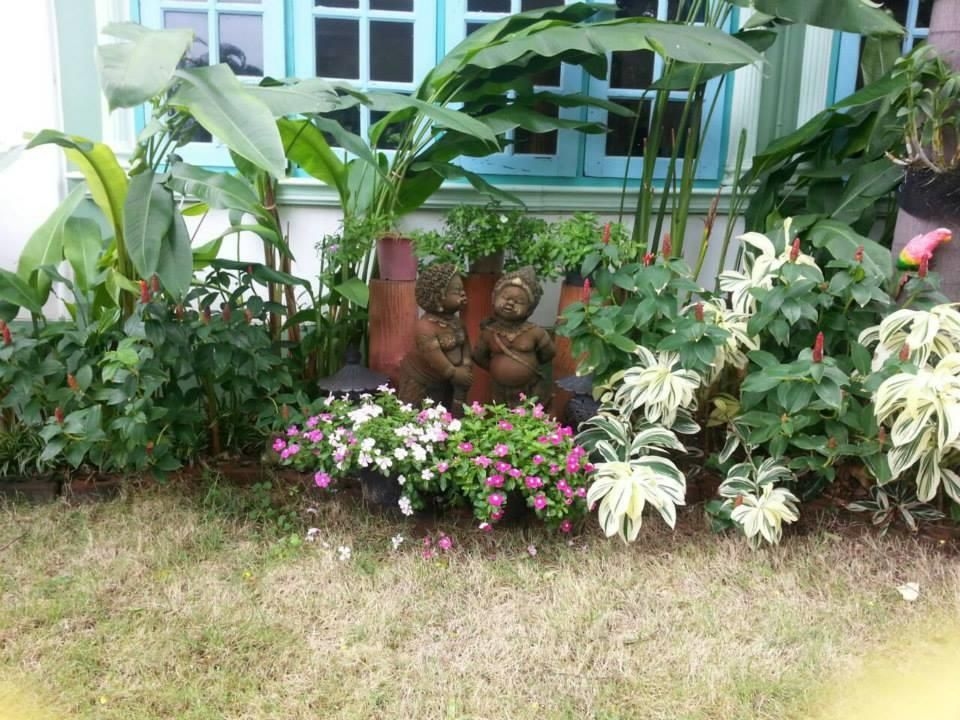 วังนอง รีสอร์ท (Wangnong Resort)4