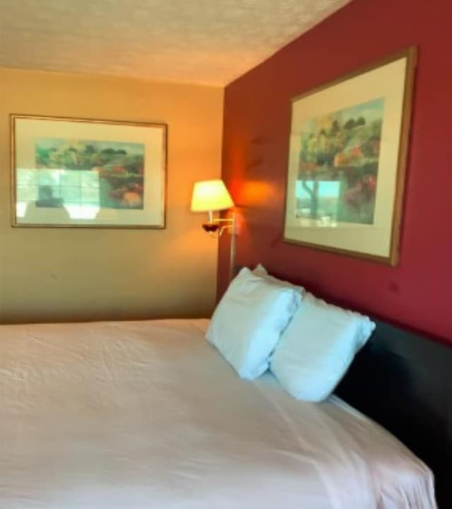 Room, 1 King Bed, Accessible