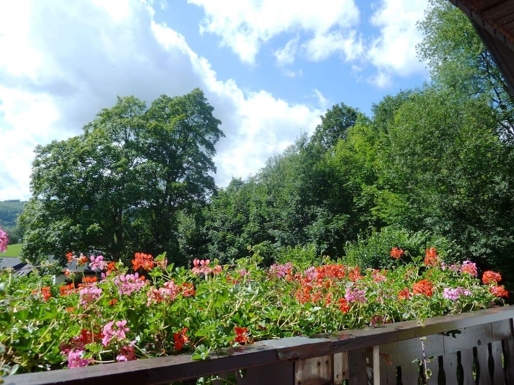 Pension Haus Waldfrieden Pension Haus Waldfrieden