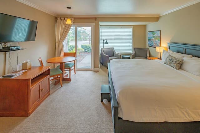 The Courtyard - Grand Queen (Pet and child friendly)