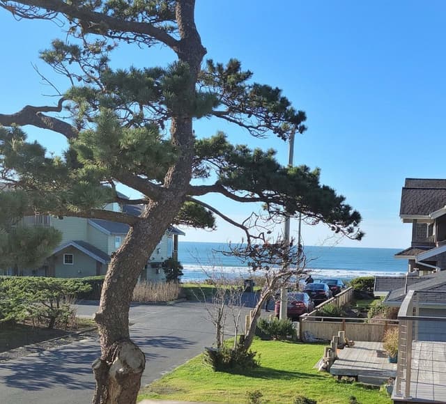 The Courtyard - Oceanview King (Pet and child friendly)