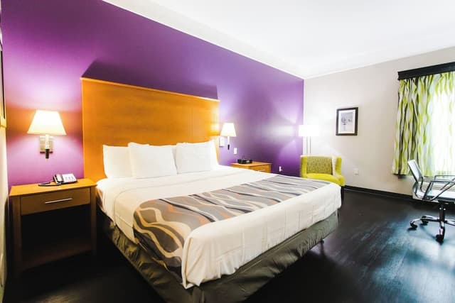 Deluxe Studio Suite