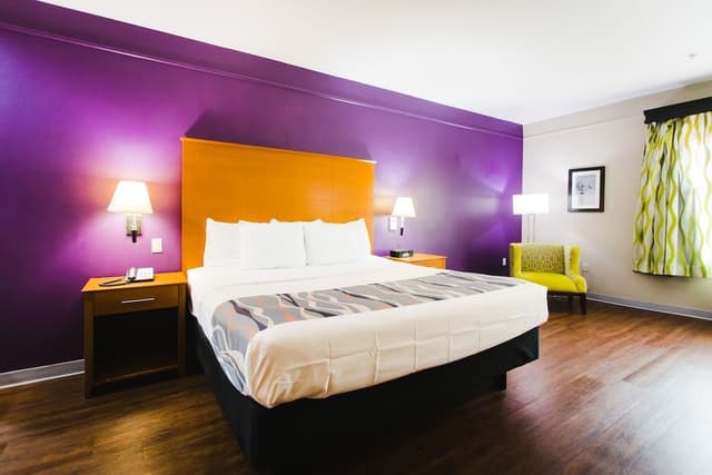 Deluxe Studio Suite