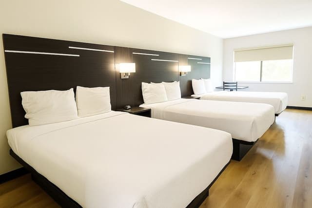 Standard Room, 2 Double Beds