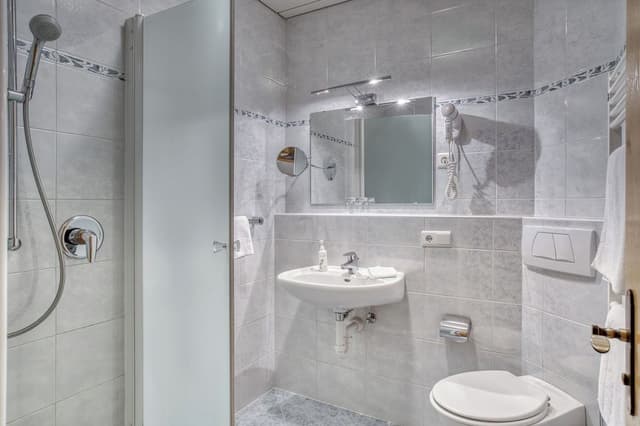Standard Room, Mountain View