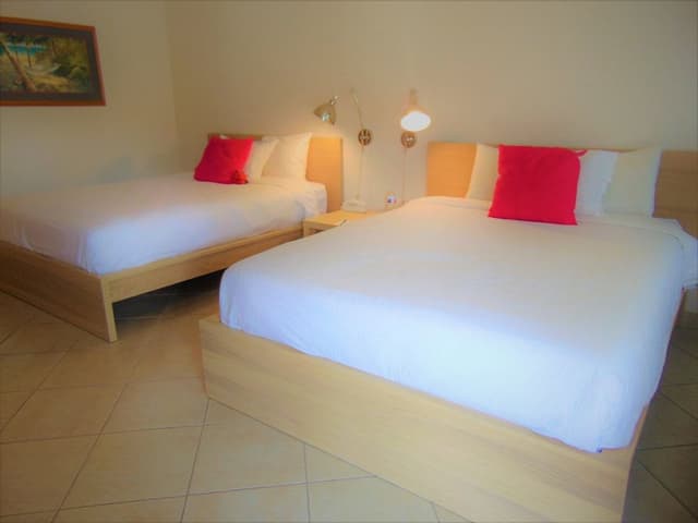 Standard Room, 2 Double Beds