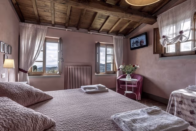 Superior Double or Twin Room