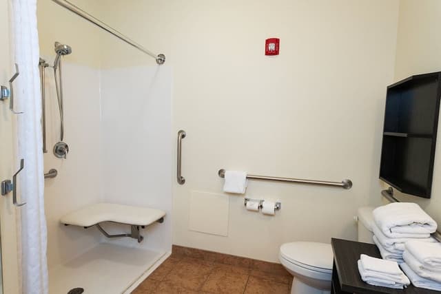 Studio Suite, 1 King Bed (Mobility, Roll-In Shower)