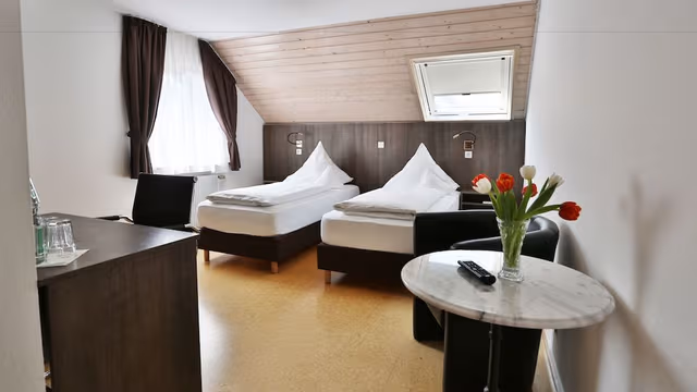 Double Room Single Use