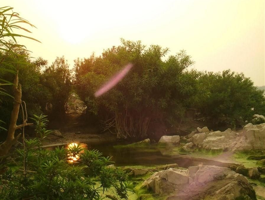 ต้นโขง เกสต์เฮาส์ แอนด์ เรสเทอรองต์ (Tonkong Guesthouse & Restaurant)3