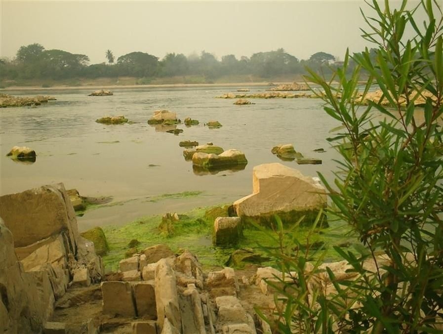 ต้นโขง เกสต์เฮาส์ แอนด์ เรสเทอรองต์ (Tonkong Guesthouse & Restaurant)4