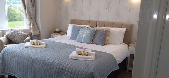 Superior Double or Twin Room