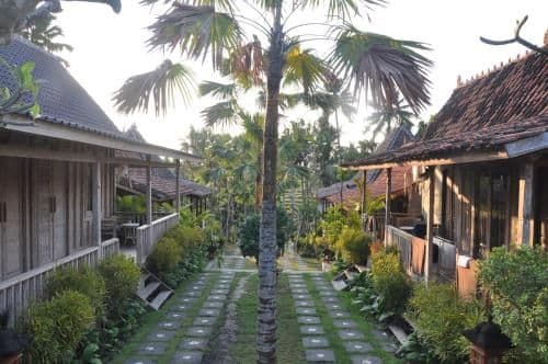 Standard Bungalow