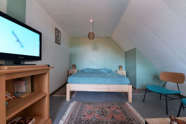Basic Apartment, Vineyard View (S'Harzala Vert)