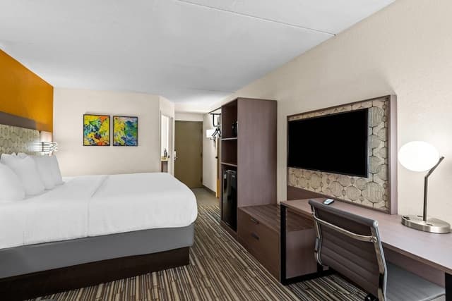 Standard Room, 1 King Bed, Non Smoking