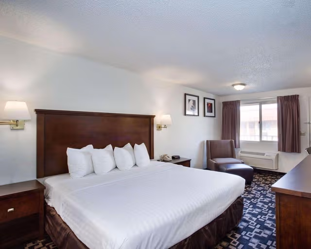 Standard Room, 1 King Bed, Non Smoking