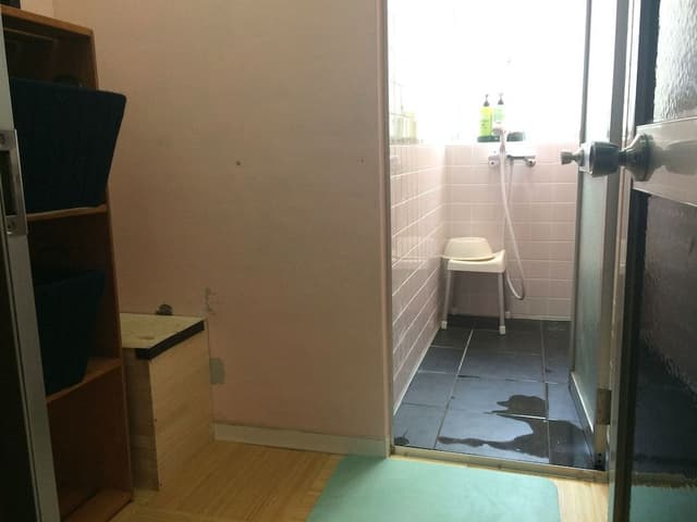Japanese-Style Room 107 ft2 with 54 ft2 loft, Private Toilet and Shared Bath (No parking provided)