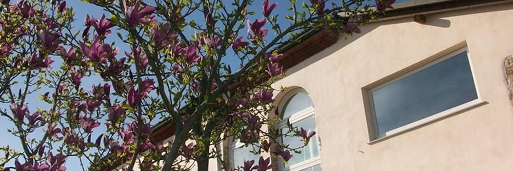 Cascina Marcantonio3