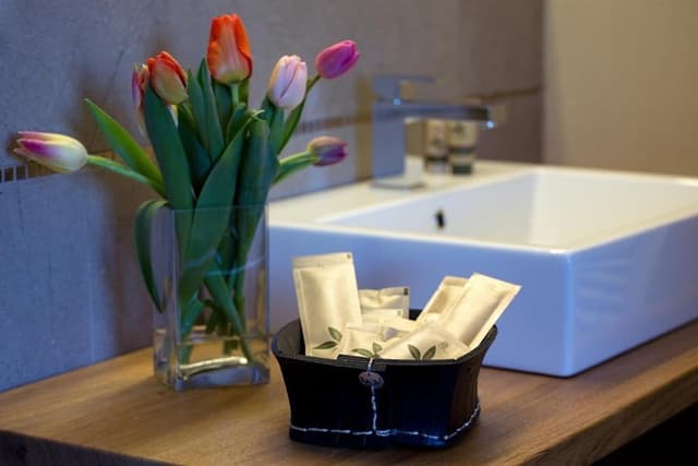 Deluxe Double or Twin Room, Vineyard View