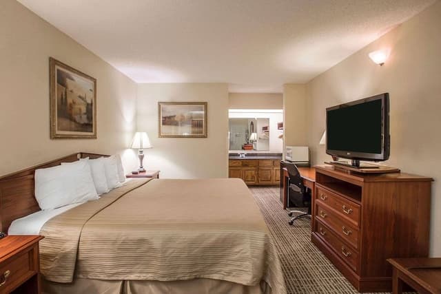 Standard Room, 1 King Bed, Non Smoking